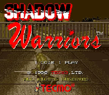 Ninja Gaiden (US) screen shot title